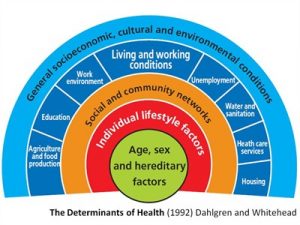 Diagram of the determinants of health