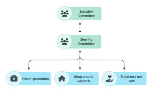 Community Drug Strategy Structure showing executive committee, steering committee and three streams